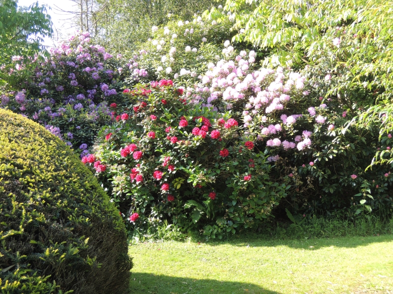 The Place for Plants, East Bergholt Place Garden